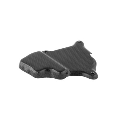 Lightech Gloss Carbon Pick Up Cover BMW S1000R 13-16